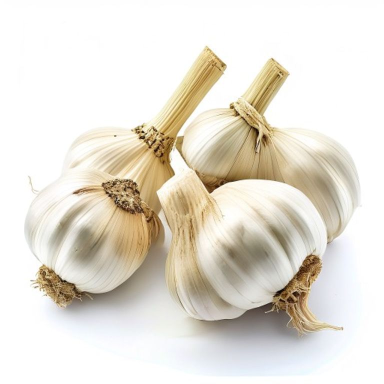 Fresh Whole Garlic Bulbs