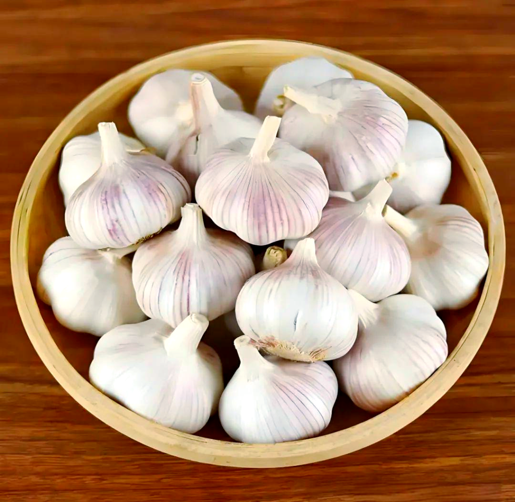 Purple Skin Garlic Bulbs from Jinxiang, China